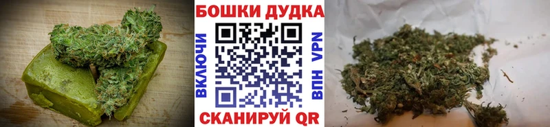 мега tor купить наркотик Северск Cannafood конопля