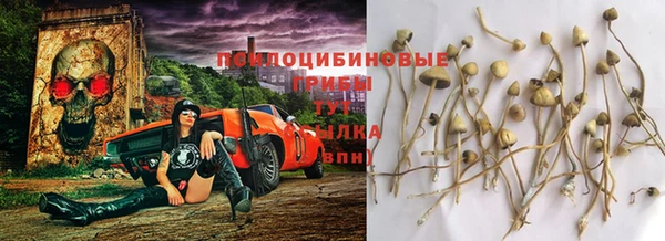кокаин перу Ельня