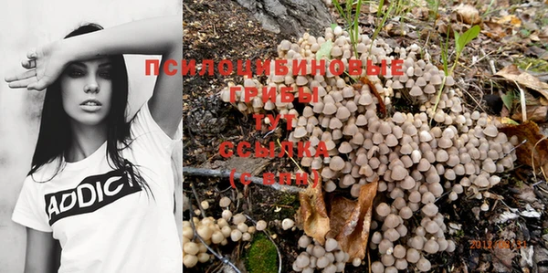 кокаин колумбия Елизово