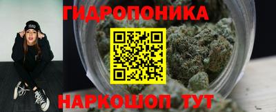 крисы Ливны