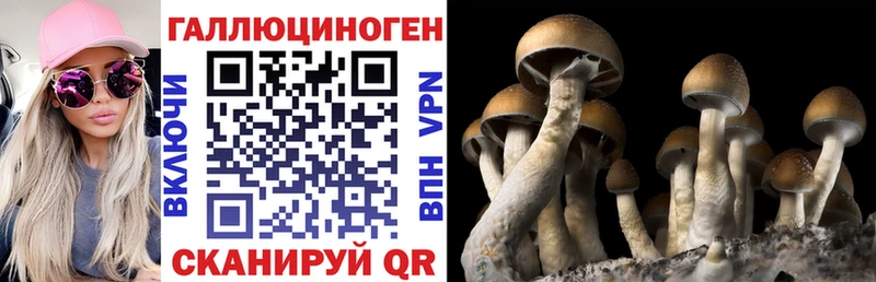 hydra зеркало  Северск  Галлюциногенные грибы прущие грибы 