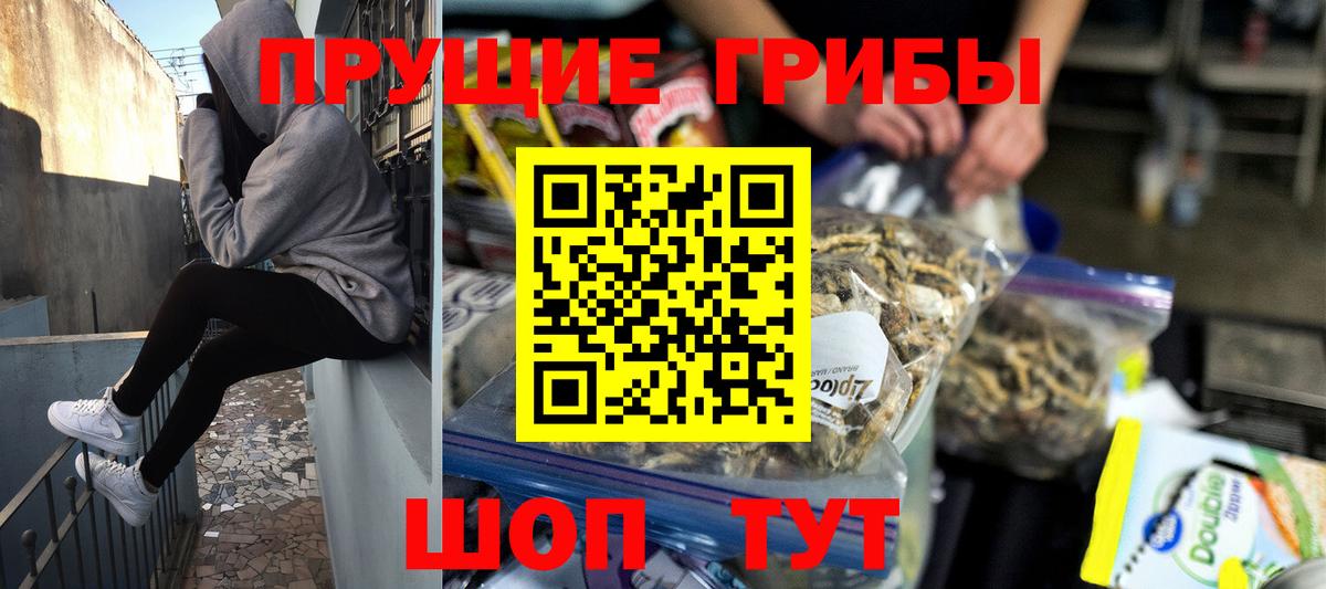 закладки  Псилоцибиновые грибы Cubensis  Вход с VPN  Северск 