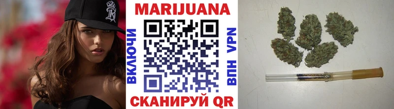 купить наркоту  Северск  Бошки марихуана сатива 